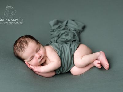 <div class=boy-info-container style=background-color:#d3eafc;><h4 class=boy>Alexander Nickov Weber</h4></div> <div class=boy-info-container style=background-color:#d3eafc;><h4 class=boy>Alexander Nickov Weber</h4></div>