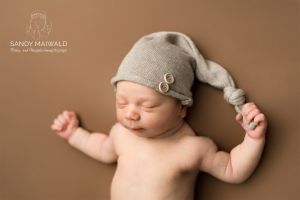 Anton Gruner Anton Gruner