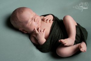 Arik-Quentin Arik-Quentin