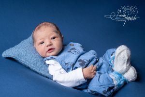 David Schubert David Schubert