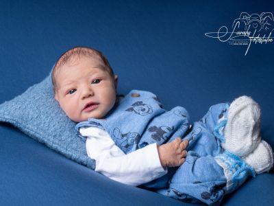 <div class=boy-info-container style=background-color:#d3eafc;><h4 class=boy>David Schubert</h4></div> <div class=boy-info-container style=background-color:#d3eafc;><h4 class=boy>David Schubert</h4></div>