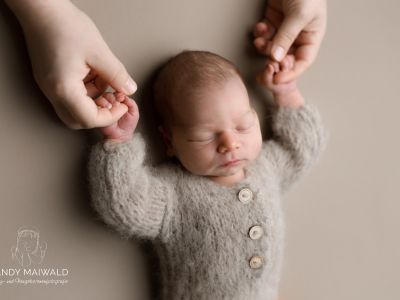 <div class=boy-info-container style=background-color:#d3eafc;><h4 class=boy>Wilhelm Schaar</h4></div> <div class=boy-info-container style=background-color:#d3eafc;><h4 class=boy>Wilhelm Schaar</h4></div>