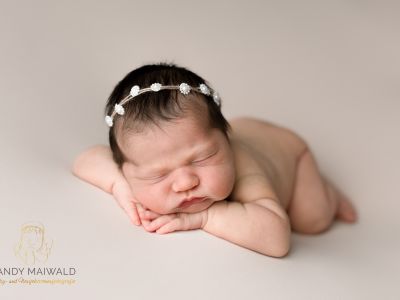 <div class=girl-info-container style=background-color:#f0d2d2;><h4 class=girl>Elena Schmieder</h4></div> <div class=girl-info-container style=background-color:#f0d2d2;><h4 class=girl>Elena Schmieder</h4></div>