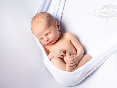 <div class=boy-info-container style=background-color:#d3eafc;><h4 class=boy>Louis Elias</h4></div> <div class=boy-info-container style=background-color:#d3eafc;><h4 class=boy>Louis Elias</h4></div>