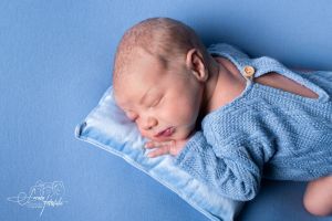 Elvis Hammer Elvis Hammer