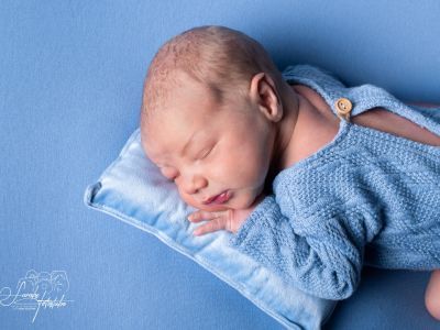 <div class=boy-info-container style=background-color:#d3eafc;><h4 class=boy>Elvis Hammer</h4></div> <div class=boy-info-container style=background-color:#d3eafc;><h4 class=boy>Elvis Hammer</h4></div>