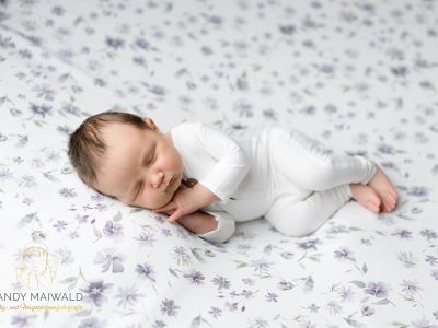 <div class=girl-info-container style=background-color:#f0d2d2;><h4 class=girl>Emilia</h4></div> <div class=girl-info-container style=background-color:#f0d2d2;><h4 class=girl>Emilia</h4></div>