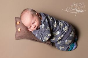 Floki-Finnen Floki-Finnen