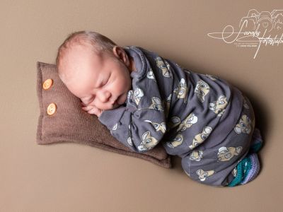 <div class=boy-info-container style=background-color:#d3eafc;><h4 class=boy>Floki-Finnen</h4></div> <div class=boy-info-container style=background-color:#d3eafc;><h4 class=boy>Floki-Finnen</h4></div>