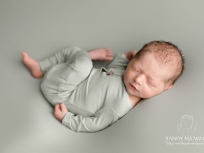 <div class=boy-info-container style=background-color:#d3eafc;><h4 class=boy>Flynn Noel Schneider</h4></div> <div class=boy-info-container style=background-color:#d3eafc;><h4 class=boy>Flynn Noel Schneider</h4></div>