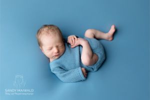 Fritz Fitzner Fritz Fitzner