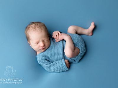 <div class=boy-info-container style=background-color:#d3eafc;><h4 class=boy>Fritz Fitzner</h4></div> <div class=boy-info-container style=background-color:#d3eafc;><h4 class=boy>Fritz Fitzner</h4></div>