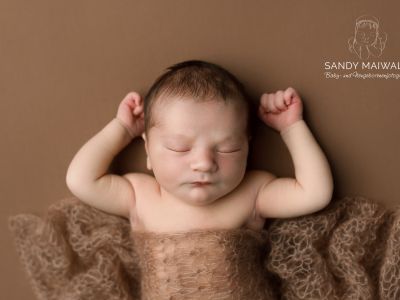 <div class=boy-info-container style=background-color:#d3eafc;><h4 class=boy>Gustav Kurt Rost</h4></div> <div class=boy-info-container style=background-color:#d3eafc;><h4 class=boy>Gustav Kurt Rost</h4></div>