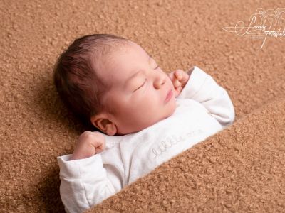 <div class=boy-info-container style=background-color:#d3eafc;><h4 class=boy>Emil Hammerschmidt</h4></div> <div class=boy-info-container style=background-color:#d3eafc;><h4 class=boy>Emil Hammerschmidt</h4></div>