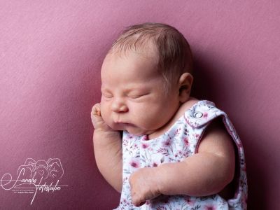 <div class=girl-info-container style=background-color:#f0d2d2;><h4 class=girl>Sofie</h4></div> <div class=girl-info-container style=background-color:#f0d2d2;><h4 class=girl>Sofie</h4></div>