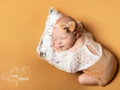 <div class=girl-info-container style=background-color:#f0d2d2;><h4 class=girl>Lotta Heckel</h4></div> <div class=girl-info-container style=background-color:#f0d2d2;><h4 class=girl>Lotta Heckel</h4></div>