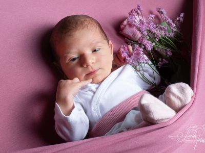 <div class=girl-info-container style=background-color:#f0d2d2;><h4 class=girl>Luna</h4></div> <div class=girl-info-container style=background-color:#f0d2d2;><h4 class=girl>Luna</h4></div>