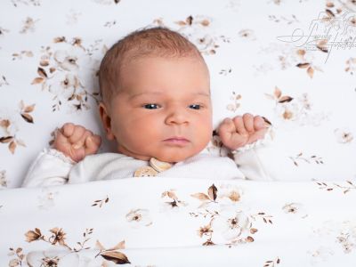 <div class=girl-info-container style=background-color:#f0d2d2;><h4 class=girl>Maily</h4></div> <div class=girl-info-container style=background-color:#f0d2d2;><h4 class=girl>Maily</h4></div>