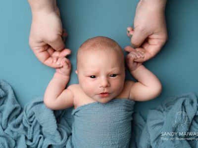 <div class=boy-info-container style=background-color:#d3eafc;><h4 class=boy>Mares</h4></div> <div class=boy-info-container style=background-color:#d3eafc;><h4 class=boy>Mares</h4></div>