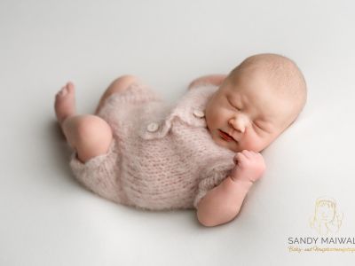 <div class=girl-info-container style=background-color:#f0d2d2;><h4 class=girl>Merle</h4></div> <div class=girl-info-container style=background-color:#f0d2d2;><h4 class=girl>Merle</h4></div>