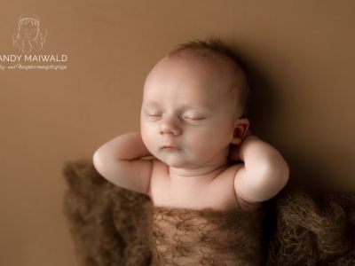 <div class=boy-info-container style=background-color:#d3eafc;><h4 class=boy>Noah Ben</h4></div> <div class=boy-info-container style=background-color:#d3eafc;><h4 class=boy>Noah Ben</h4></div>