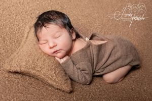 Oskar Ulrich Schneider Oskar Ulrich Schneider