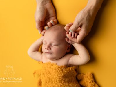 <div class=girl-info-container style=background-color:#f0d2d2;><h4 class=girl>Rebekka</h4></div> <div class=girl-info-container style=background-color:#f0d2d2;><h4 class=girl>Rebekka</h4></div>