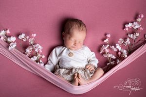 Rosalie Dorothea Rosalie Dorothea