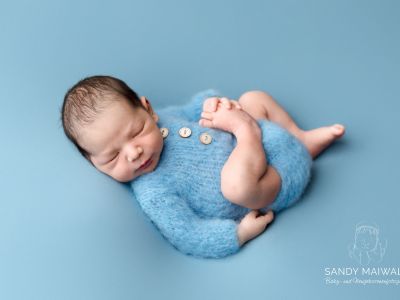 <div class=boy-info-container style=background-color:#d3eafc;><h4 class=boy>Stefan Balogh</h4></div> <div class=boy-info-container style=background-color:#d3eafc;><h4 class=boy>Stefan Balogh</h4></div>