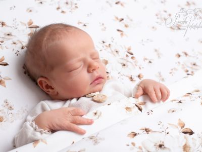 <div class=girl-info-container style=background-color:#f0d2d2;><h4 class=girl>Lene Teucher</h4></div> <div class=girl-info-container style=background-color:#f0d2d2;><h4 class=girl>Lene Teucher</h4></div>