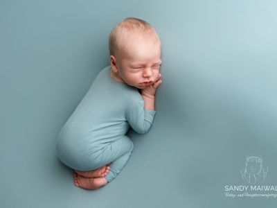 <div class=boy-info-container style=background-color:#d3eafc;><h4 class=boy>Theo</h4></div> <div class=boy-info-container style=background-color:#d3eafc;><h4 class=boy>Theo</h4></div>