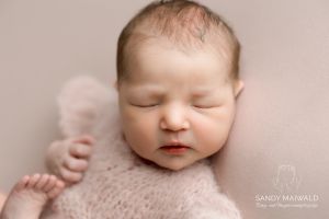 Tiara Steiniger Tiara Steiniger