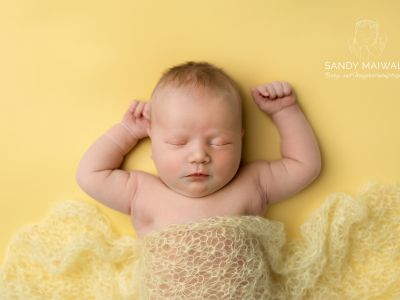 <div class=girl-info-container style=background-color:#f0d2d2;><h4 class=girl>Tilda Lou</h4></div> <div class=girl-info-container style=background-color:#f0d2d2;><h4 class=girl>Tilda Lou</h4></div>